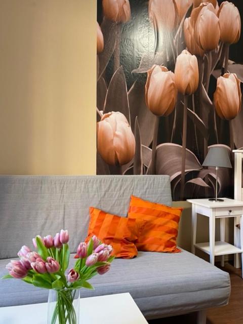 Apartman Galerie 데친 외부 사진